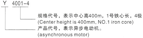 西安泰富西玛Y系列(H355-1000)高压彭州三相异步电机型号说明